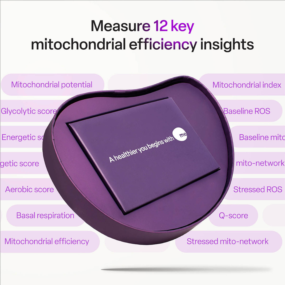 mescreen™ Complete Mitochondria Efficiency Test (Includes Consultation)